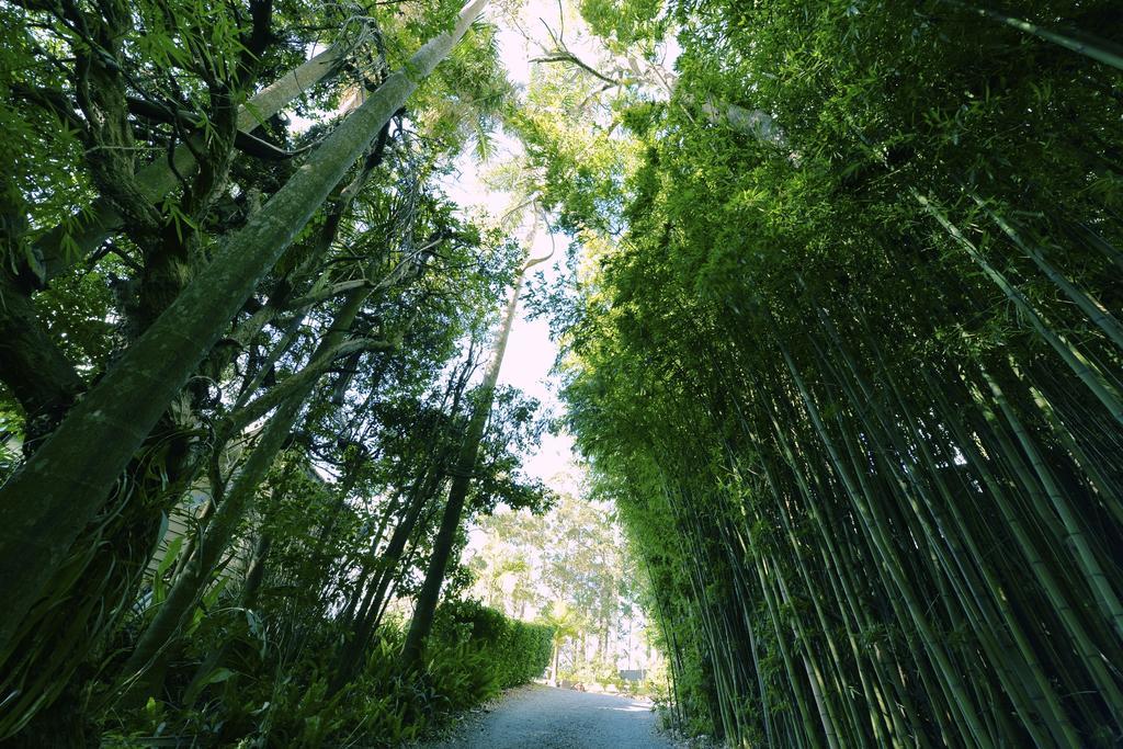 Escarpment Retreat & Day Spa For Couples Mount Tamborine Buitenkant foto