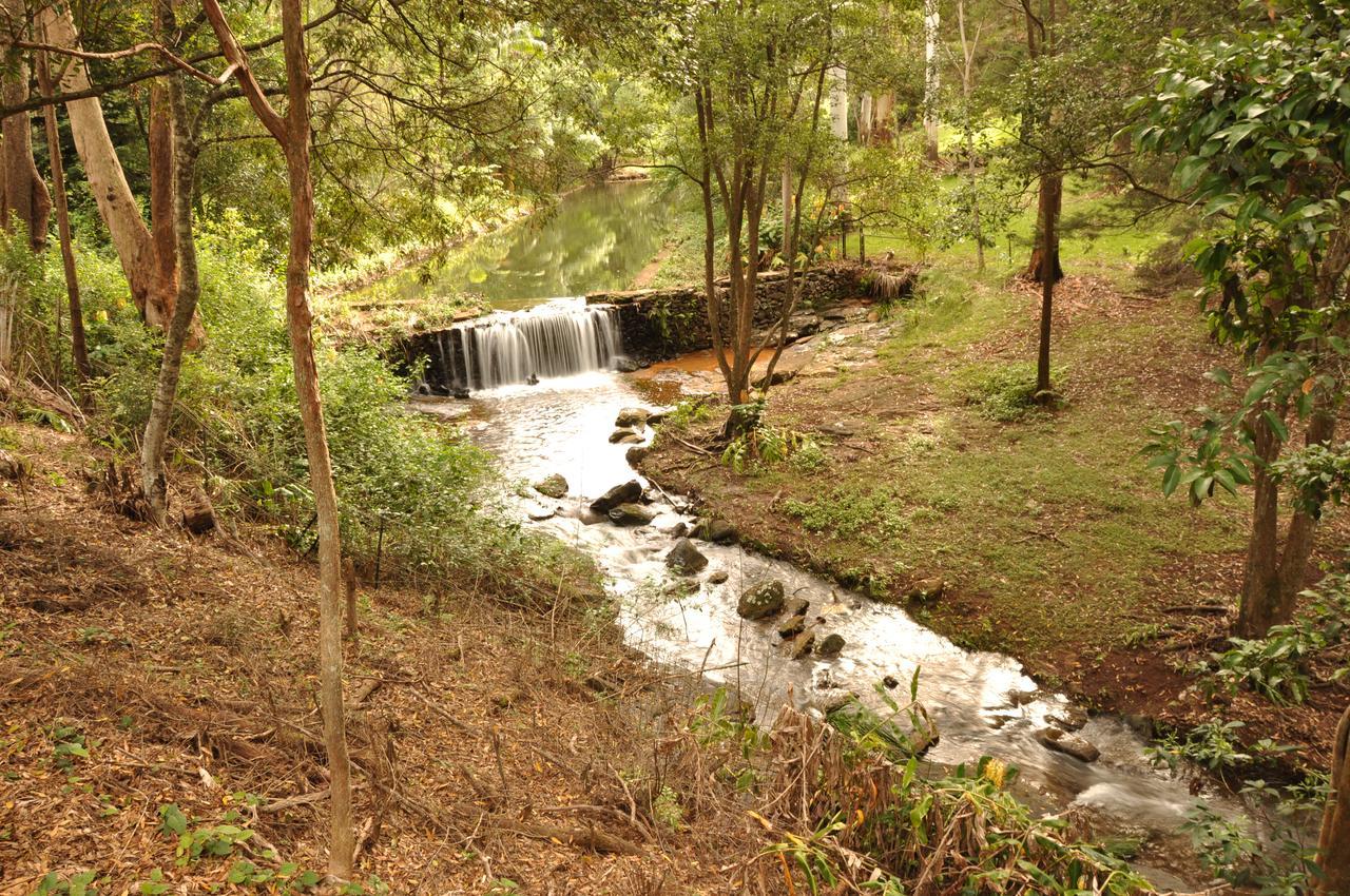 Escarpment Retreat & Day Spa For Couples Mount Tamborine Buitenkant foto