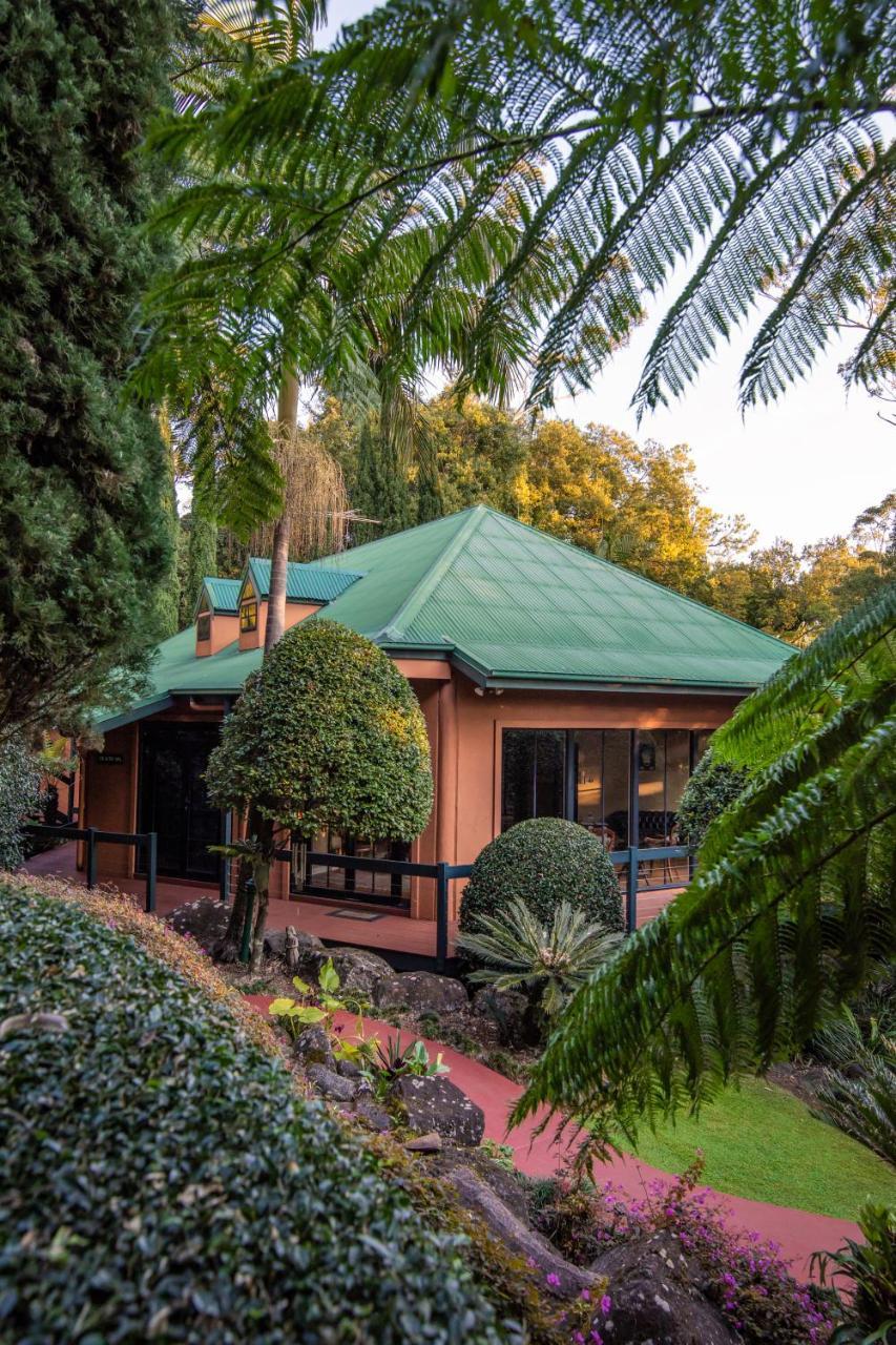 Escarpment Retreat & Day Spa For Couples Mount Tamborine Buitenkant foto