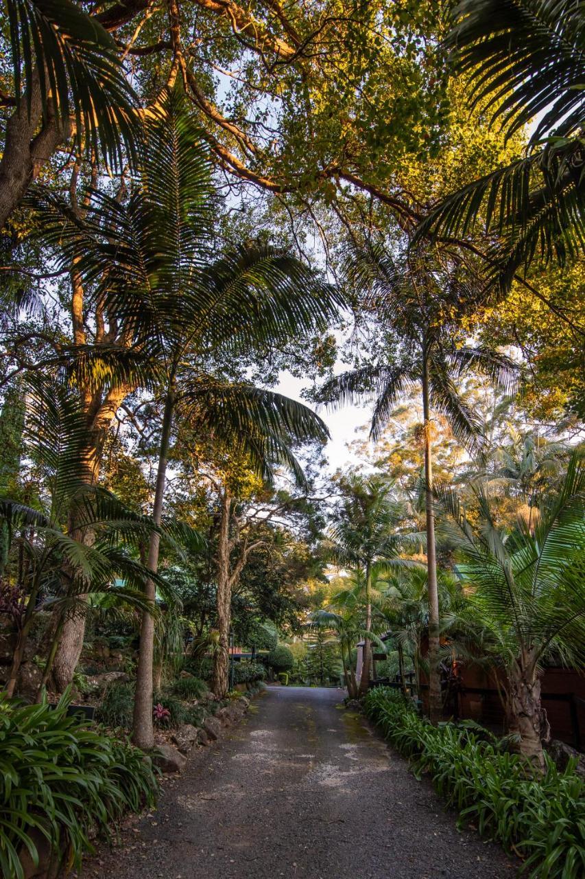 Escarpment Retreat & Day Spa For Couples Mount Tamborine Buitenkant foto