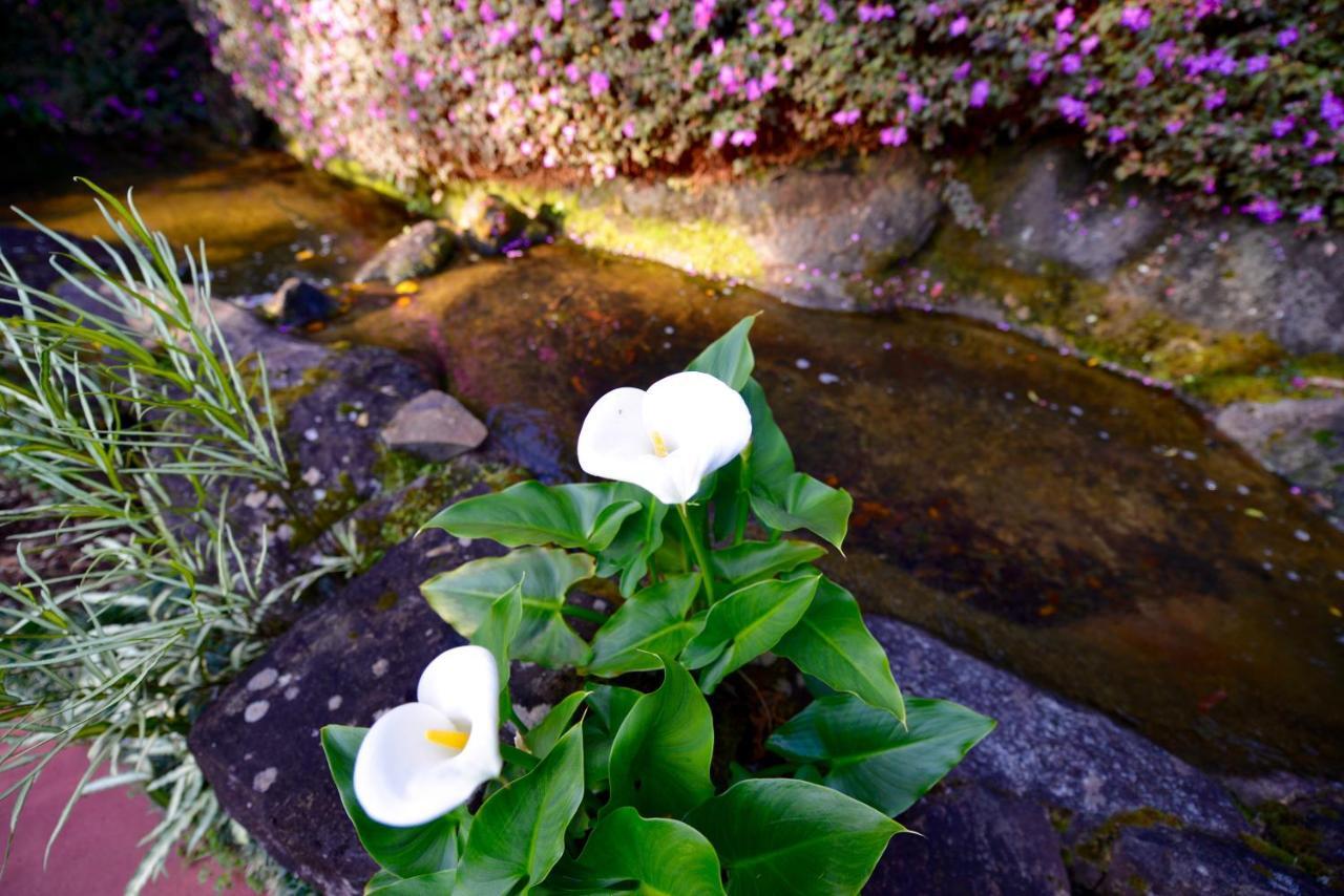 Escarpment Retreat & Day Spa For Couples Mount Tamborine Buitenkant foto